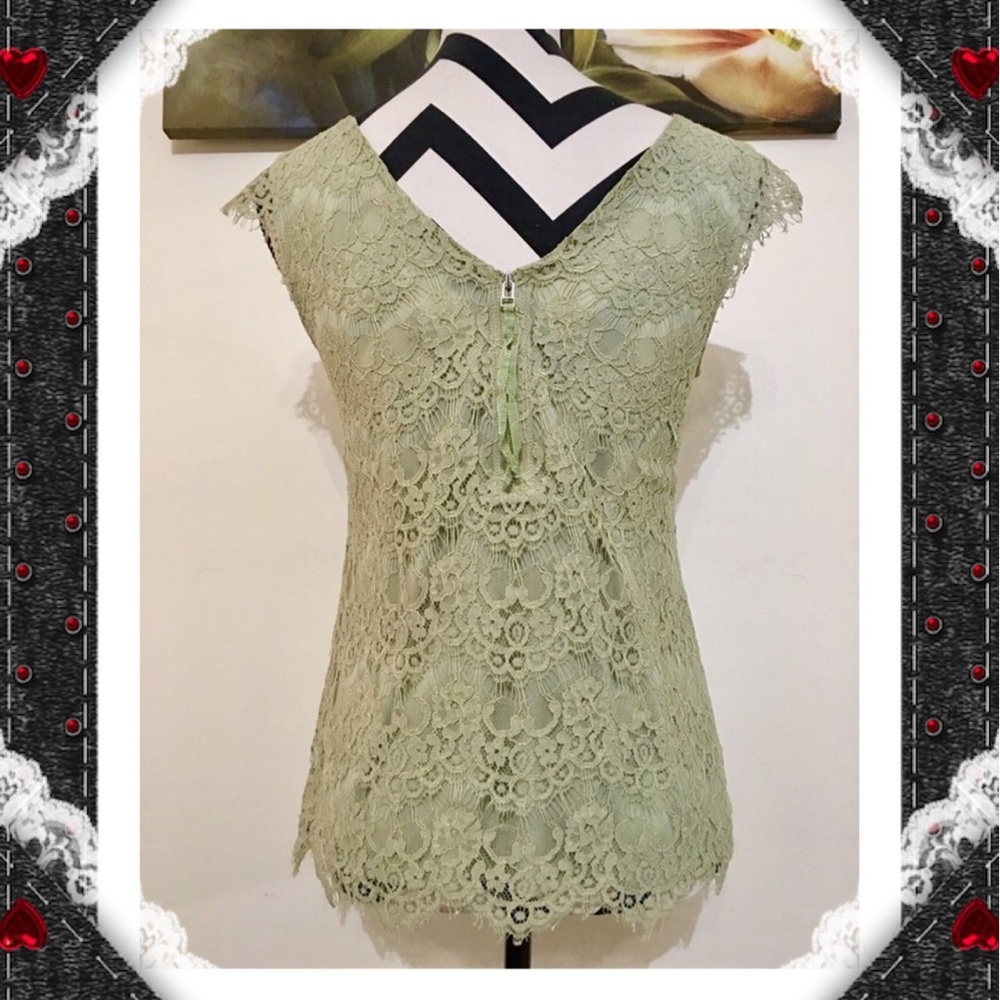 The Limited Lace Overlay Blouse - Picture 4 of 7
